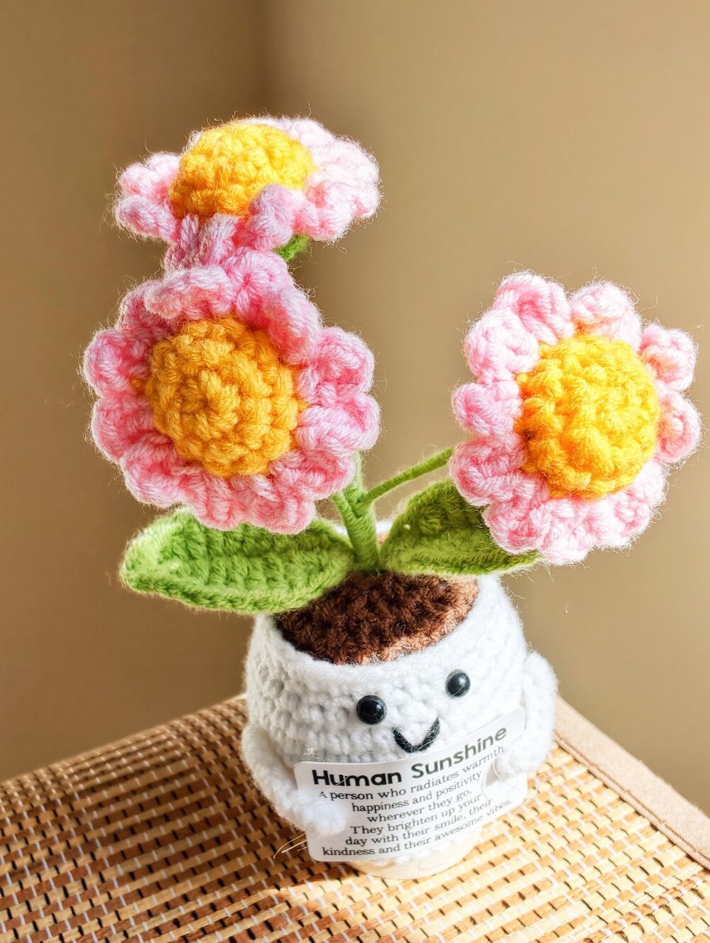 Handmade Pink & Yellow Crochet Flower Pot - Human Sunshine